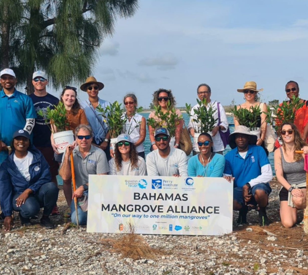 Bahamas Mangrove Alliance