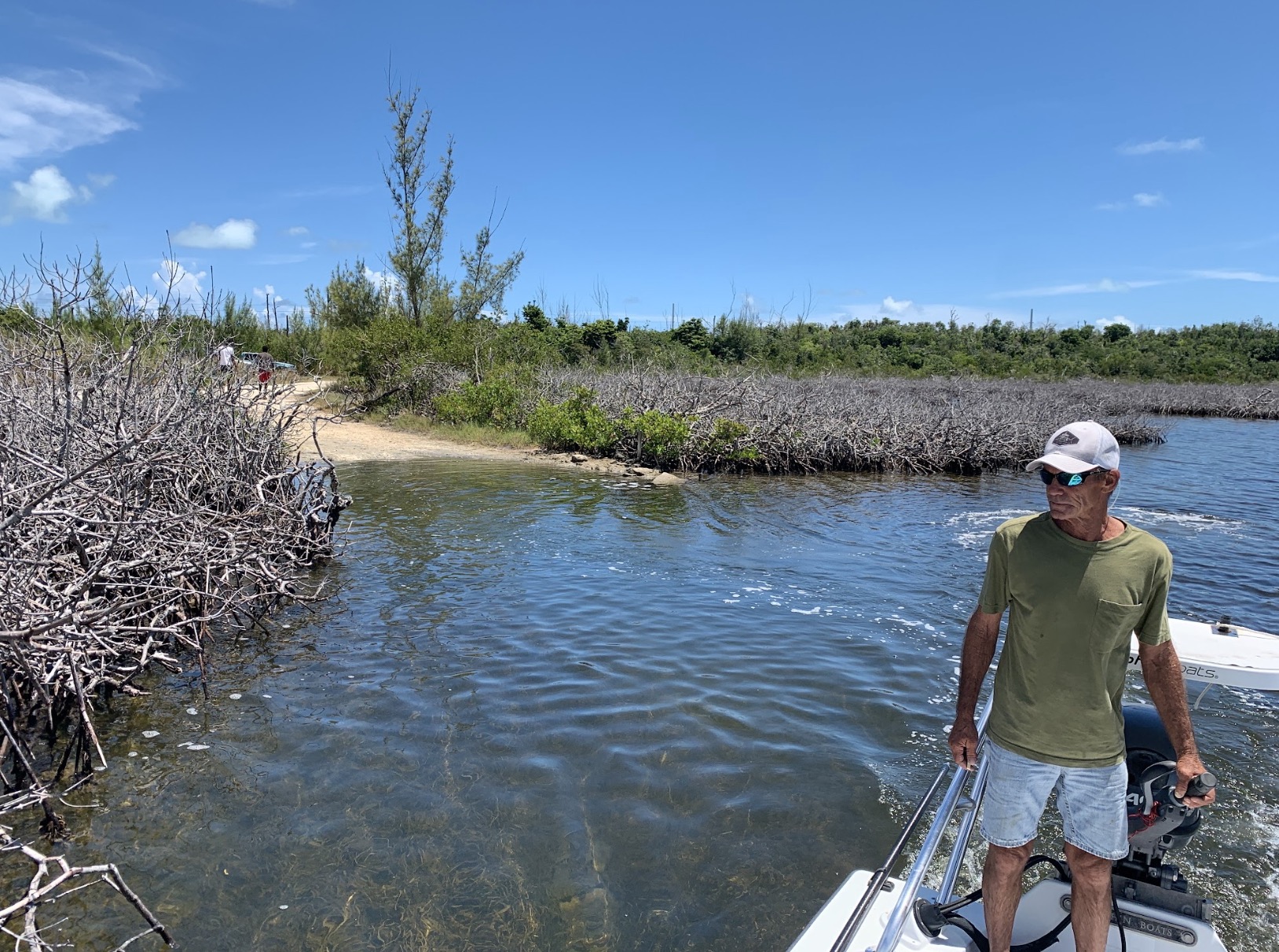 A fishing guide surveys the devastated mangroves in the aftermath of Hurricane Dorian.