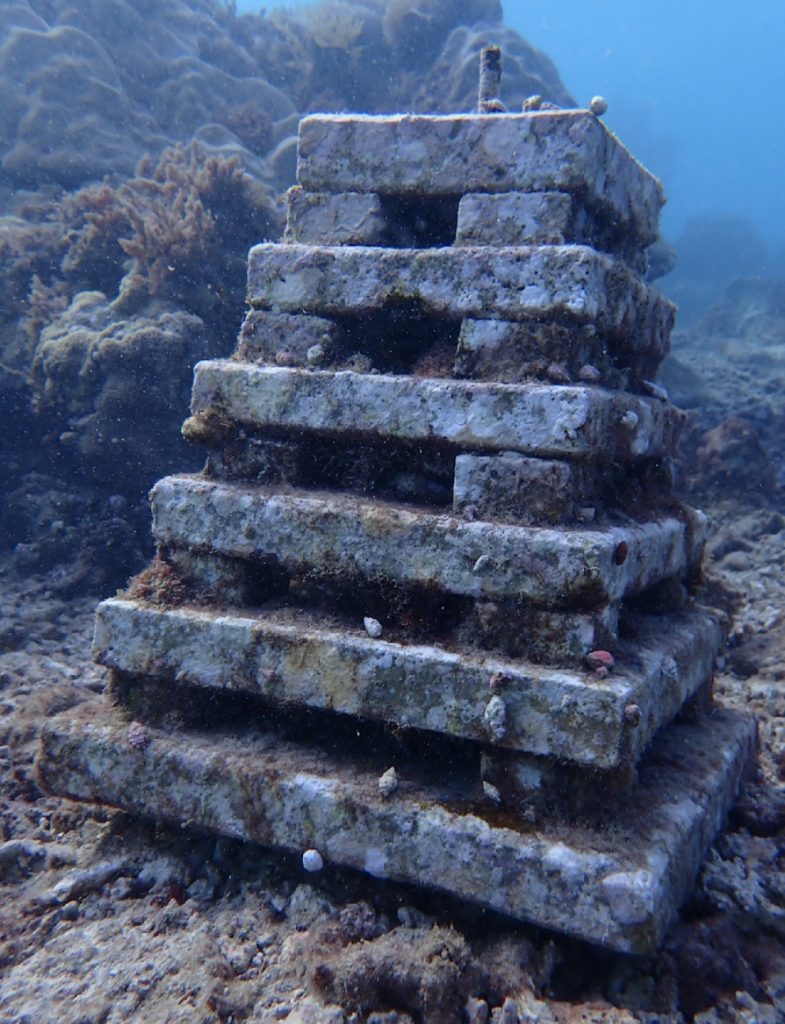 A detailed look at an ARMS unit, designed to mimic the natural structure of coral reefs for marine life studies.