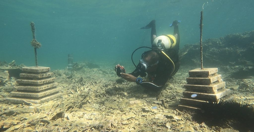 A diver documents ARMS in action on a vibrant coral reef, capturing data for marine biodiversity research.