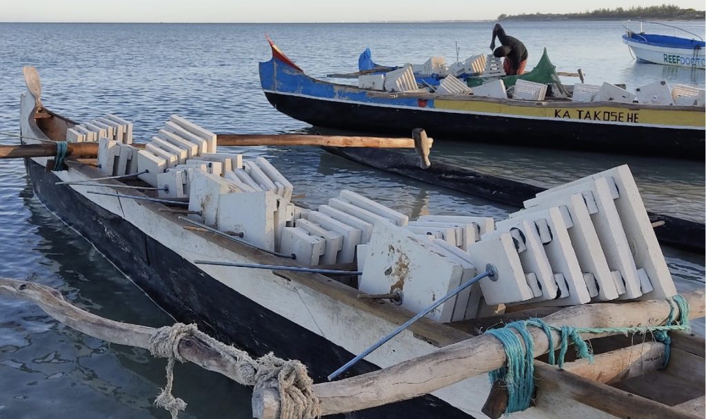 Transporting ARMS by canoe to remote coral reefs, a vital step in understanding reef ecosystems.