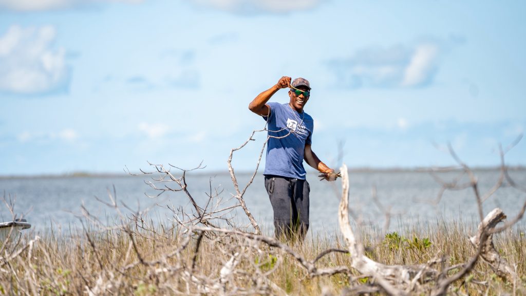 As the afternoon sun bathes the Marls of Abaco in golden light, Bahamian boat captain Willis Levarity–locally known as “Captain to the Stars”–stands ankle-deep in soft, warm mud. A broad smile spreads across his face as he holds up a mangrove propagule, before carefully planting it into the earth. Around him, countless other seedlings sway gently in the breeze—their delicate beginnings a stark contrast to the resilience they promise. This isn't just a landscape on the verge of rebirth; it's a testament to human determination and nature's indomitable spirit in the face of climate adversity.